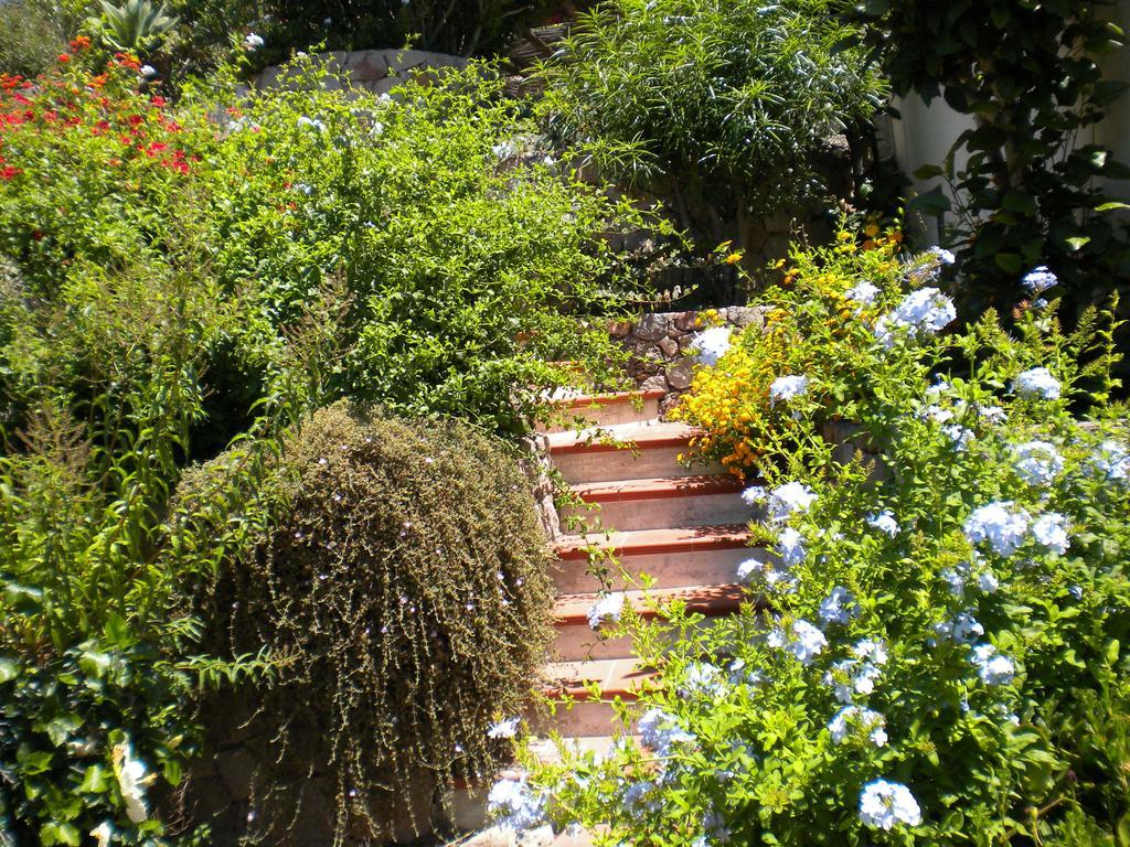 Casa U' Cucunciu Apartment Lipari  Room photo